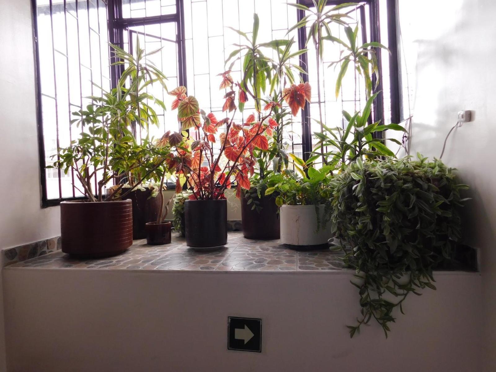 Hotel Casa Navi — Photos 1